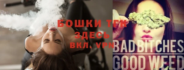 прущие грибы Армянск