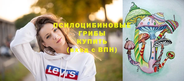 2c-b Арсеньев