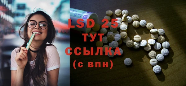 прущие грибы Армянск